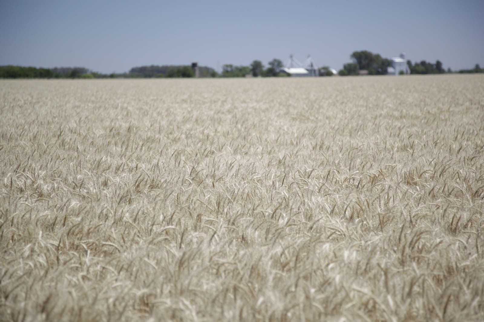 Nueva reducción de impuestos a las exportaciones – Diciembre 2025